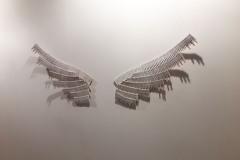 Les-ailes-arc-anges-Net